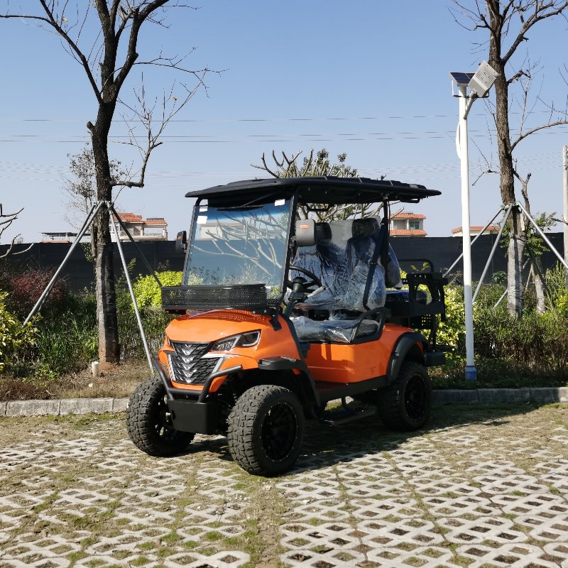 2+2 lugares de caça elétrica com bateria de lítio