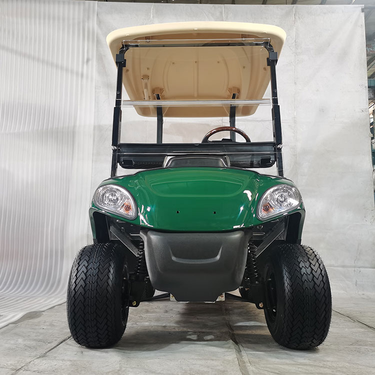 Carrinho de golfe elétrico de 2 lugares com bateria de lítio - cores personalizáveis