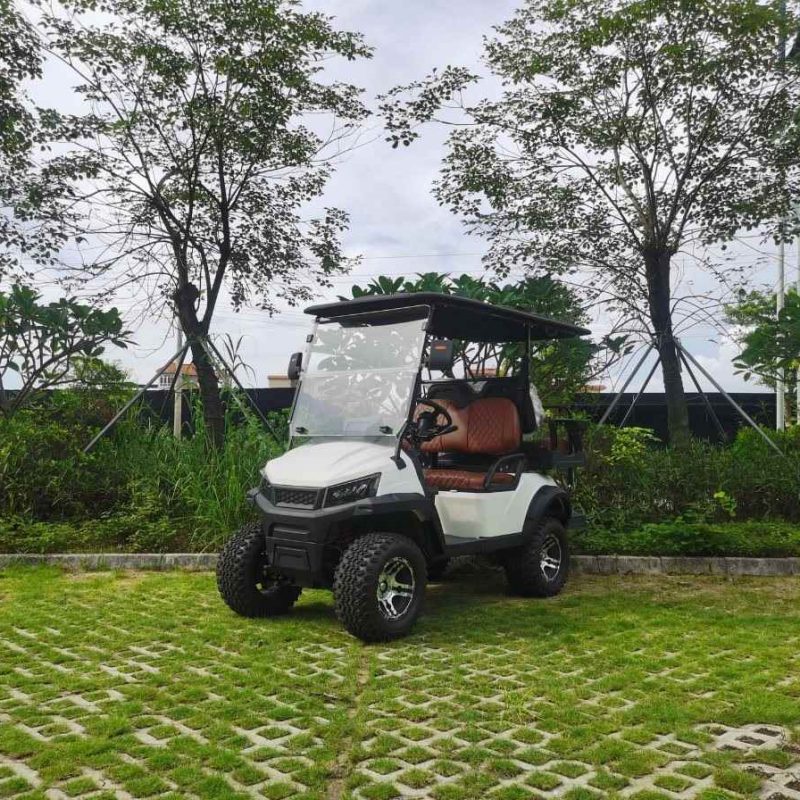 Veículo de caça elétrico de 2 lugares com bateria de lítio H3