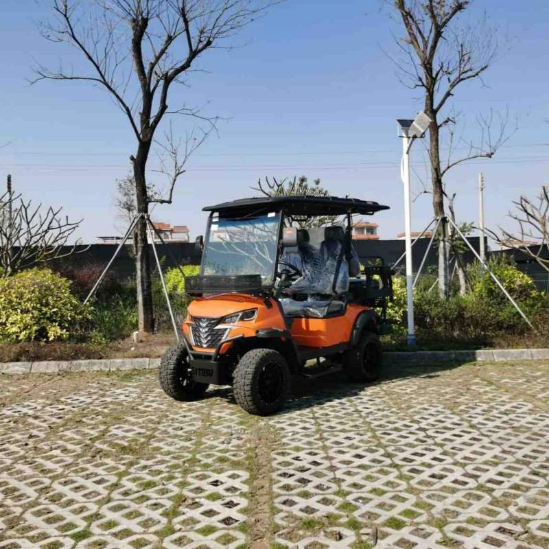 Veículo de caça elétrico de 2 lugares com bateria de lítio