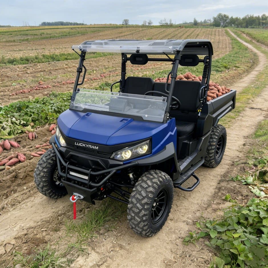EPS de 73.6V 4WD UTV 10kw que dirige a bateria 150ah