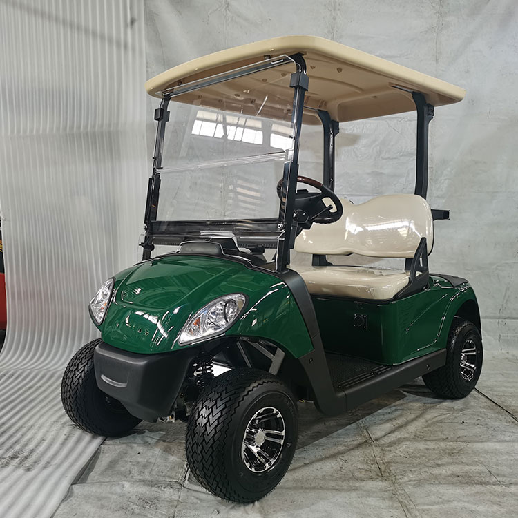 Potente carrinho de golfe elétrico de 2 lugares, equipado com bateria de lítio
